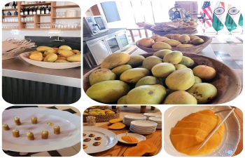 The Mango Festival was held on 29 June 2022 at a popular restaurant, Verjus, in downtown San Francisco