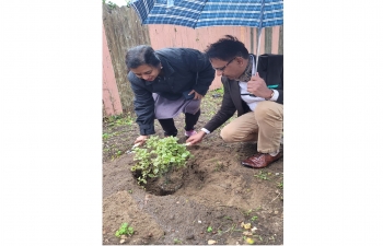 As part of #SwachhataPakhwada, Consul General of India, San Francisco, Dr. Srikar Reddy Koppula administered ‘Swachhata Pledge from 16th to 31st’ January to members of the Consulate General of India, San Francisco  and planted trees at Gadar Memorial with the Consulate Officials. Together, let's embark on a journey towards a cleaner and greener tomorrow. #swachhbharatmission #swacchbharat #swacchabharatabhiyan